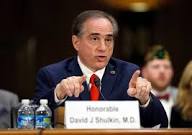 shulkin