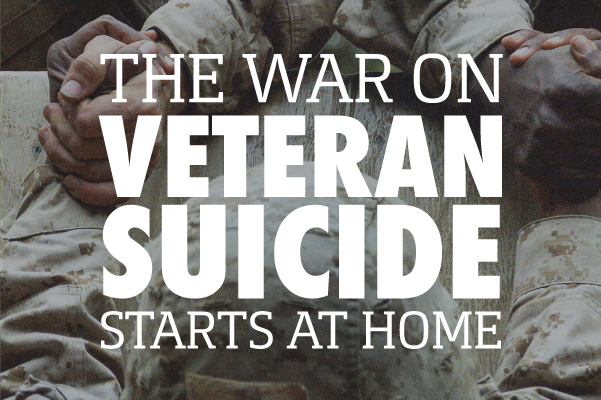 The Vet War