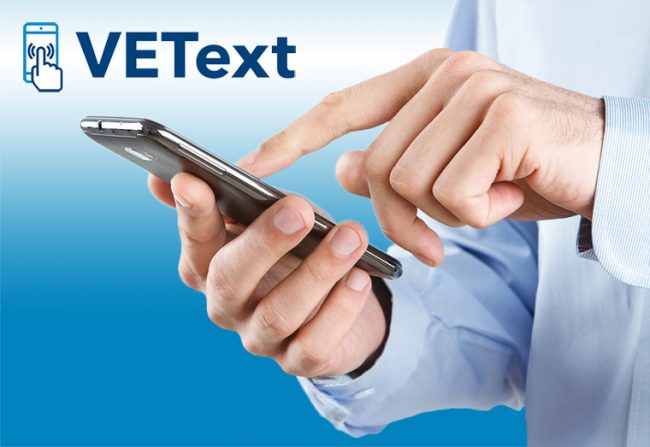 vetext1