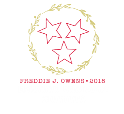 wvs logo